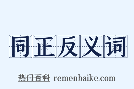 同正反义词是什么意思的图片